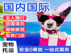 南宁吴圩机场快运国际宠物托运 【国